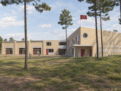 Photorealistic Pine Forest Schoolyard